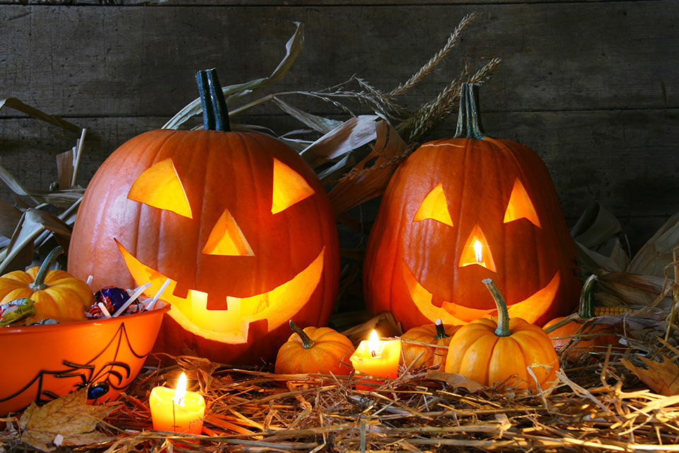 Halloween Fun